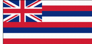 state-flag-of-hawaii