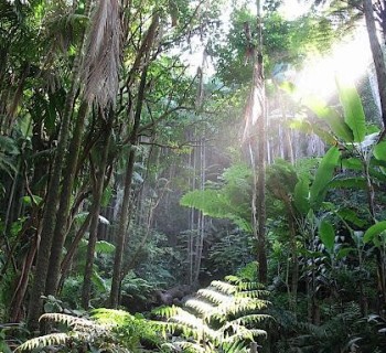 Liliuokalani Park and Gardens – A Piece of Japan in Hawaii | Only In Hawaii