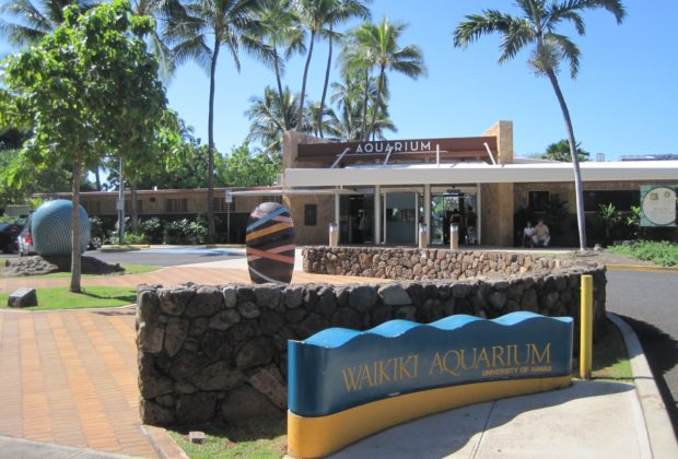 Waikiki Aquarium - Honolulu, Hawaii