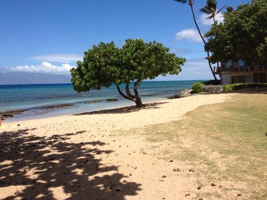 Honokowai Beach