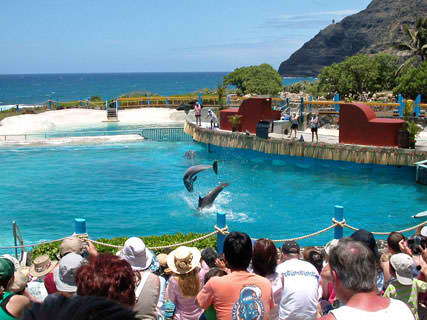 Sea Life Park - Hawaii