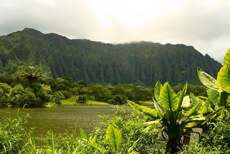 Hoomaluhia Botanical Garden - A Place of Peace and ...