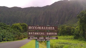 Hoomaluhia Botanical Garden - Oahu