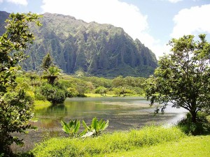 Hoomaluhia Botanical Garden - lake