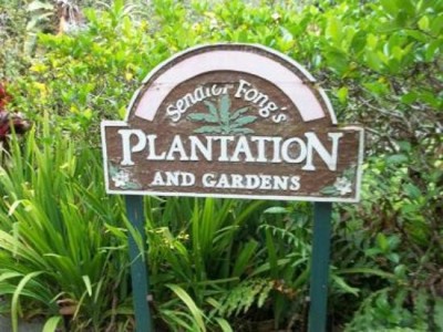 Senator Fongs Plantation & Gardens - Kaneohe, Hawaii