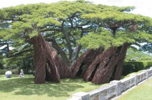 The Contemporary Museum Honolulu