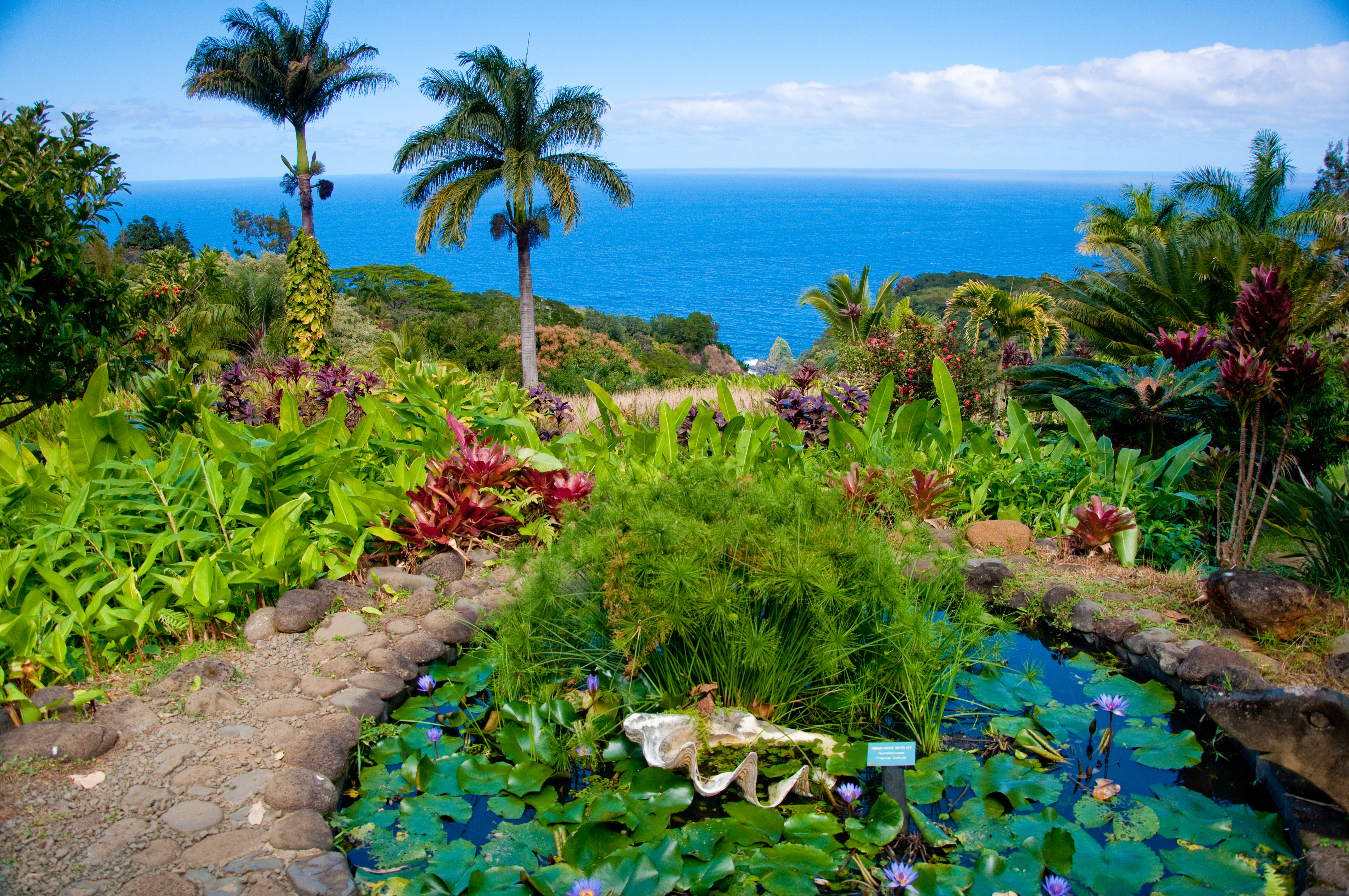 Garder of Eden Maui Hawaii