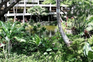 Honolulu International Airport Cultural Gardens - Hawaiian Gardens