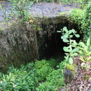 Kaumana Caves near Hilo