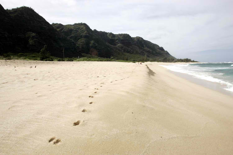 Mokuleia's Army Beach in Oahu, Hawaii