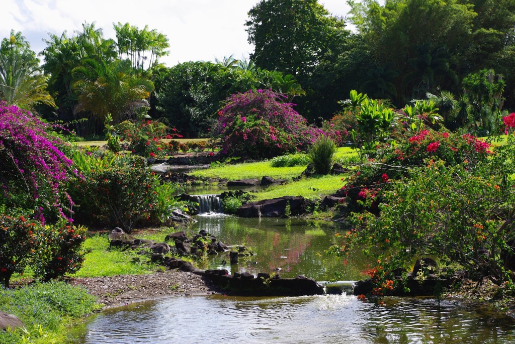 Nani Mau Gardens