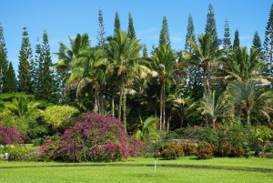 Nani Mau Gardens