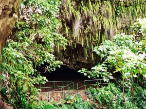 Fern Grotto - Kauai, Hawaii