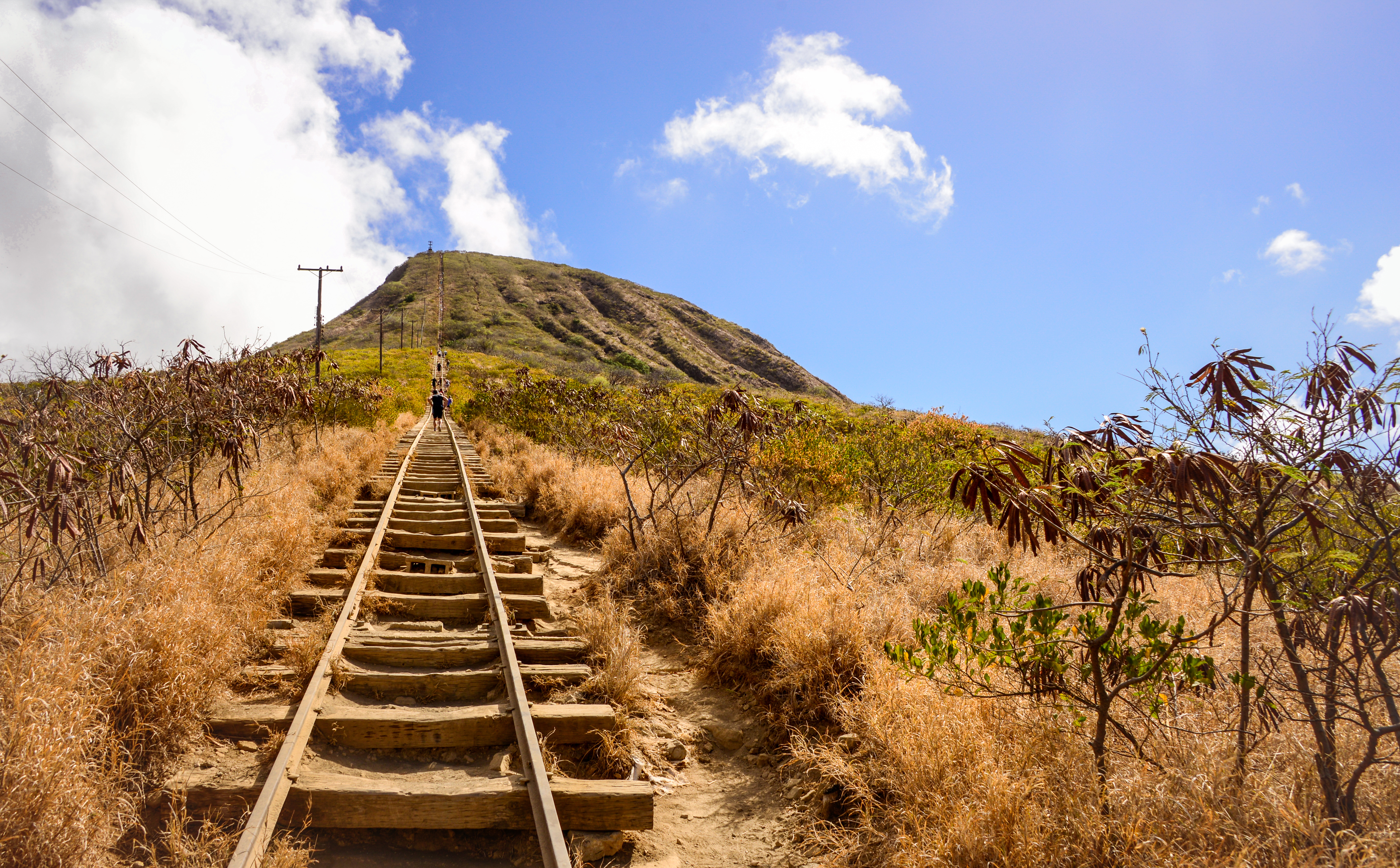 Koko Crater Trail