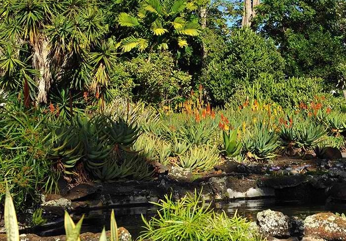 Moir Gardens - Poipu, Kauai, Hawaii