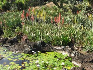 Moir Gardens - Poipu, Kauai, Hawaii