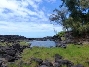 Richardson Beach Park Hilo Hawaii