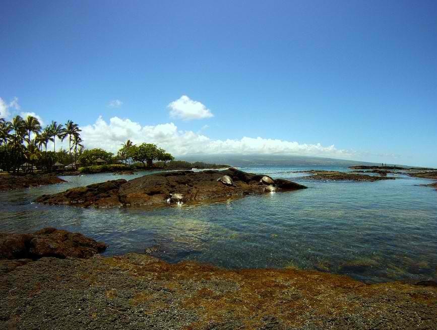 Richardson Beach Park Hilo Hawaii