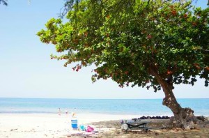 Spencer Beach Park, Kohala, Hawaii