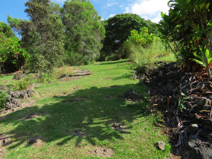 Amy B. H. Greenwell Ethnobotanical Garden