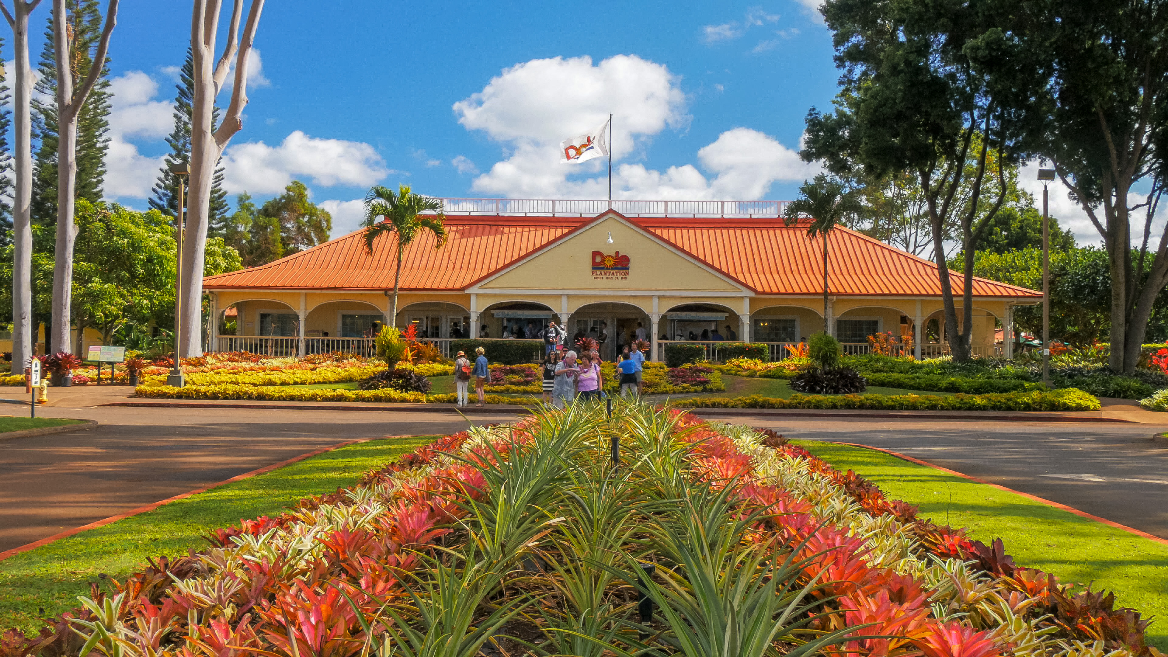 Dole Plantation