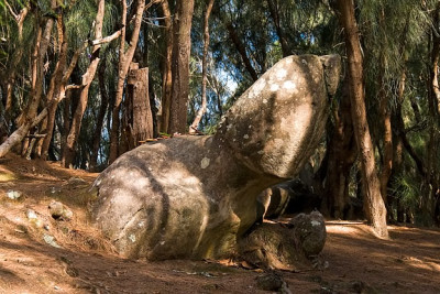 Phallic Rock - Kaule o Nanahoa