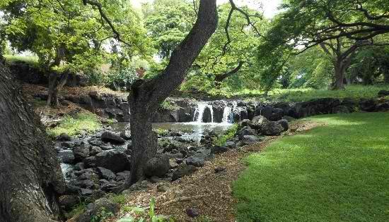 Foster Botanical Garden An Exotic Paradise In The Heart Of