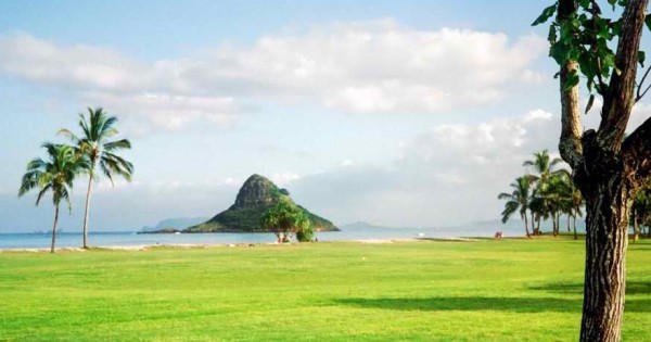 are dogs allowed at kualoa beach park