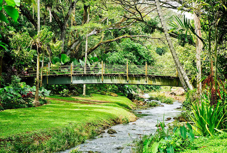 McBryde Garden - Kauai, Hawaii