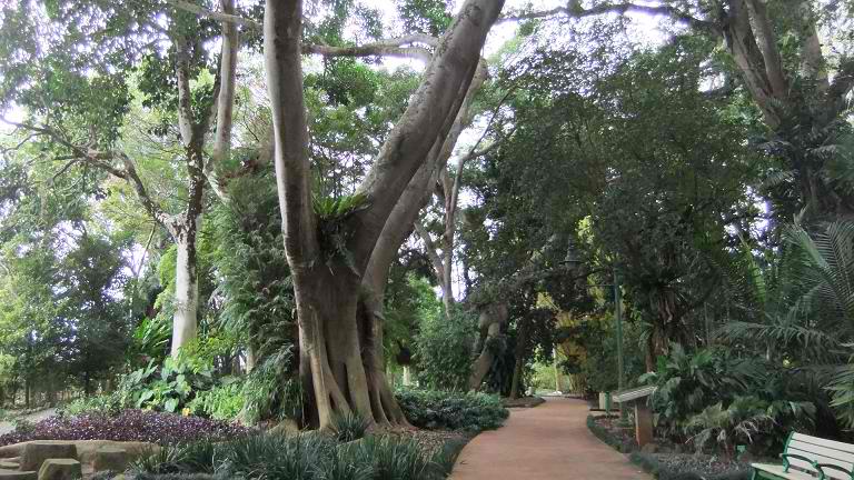 Wahiawa Botanical Garden - Oahu, Hawaii