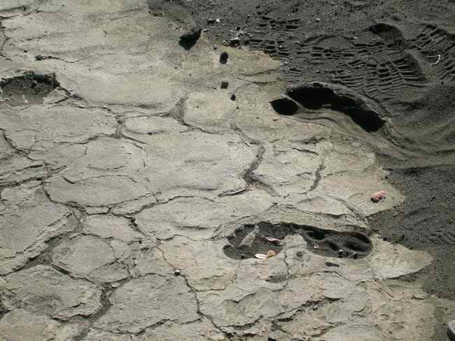 1790 Footprints - Hawaii Volcanoes National Park