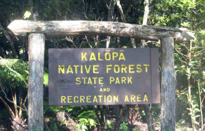 Kalopa State Recreation Area