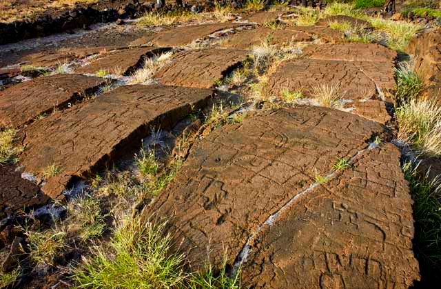 Puako Petroglyphs - Big Island, Hawaii