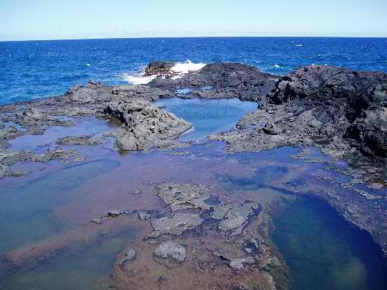 Olivine Pools - Maui, Hawaii