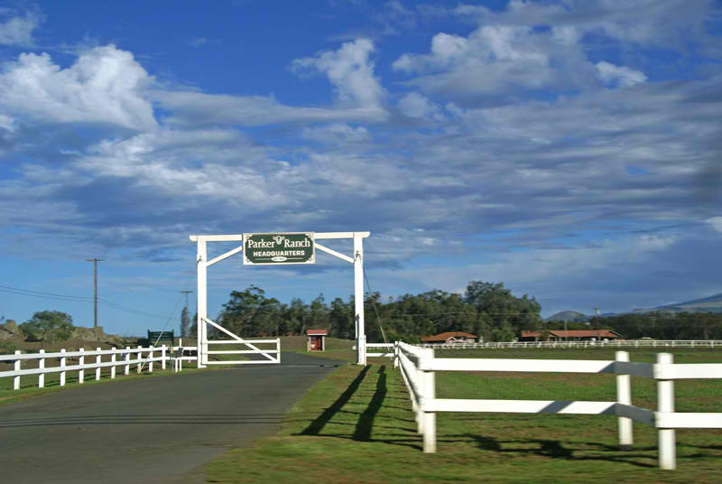 Parker Ranch - Hawaii