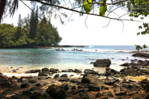 Shipman Beach - Big Island, Hawaii