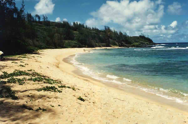 Moloaa Bay Beach - Kauai, Hawaii