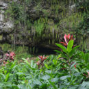 Fern Grotto Kauai Hawaii