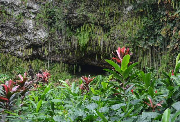 Fern Grotto Kauai Hawaii