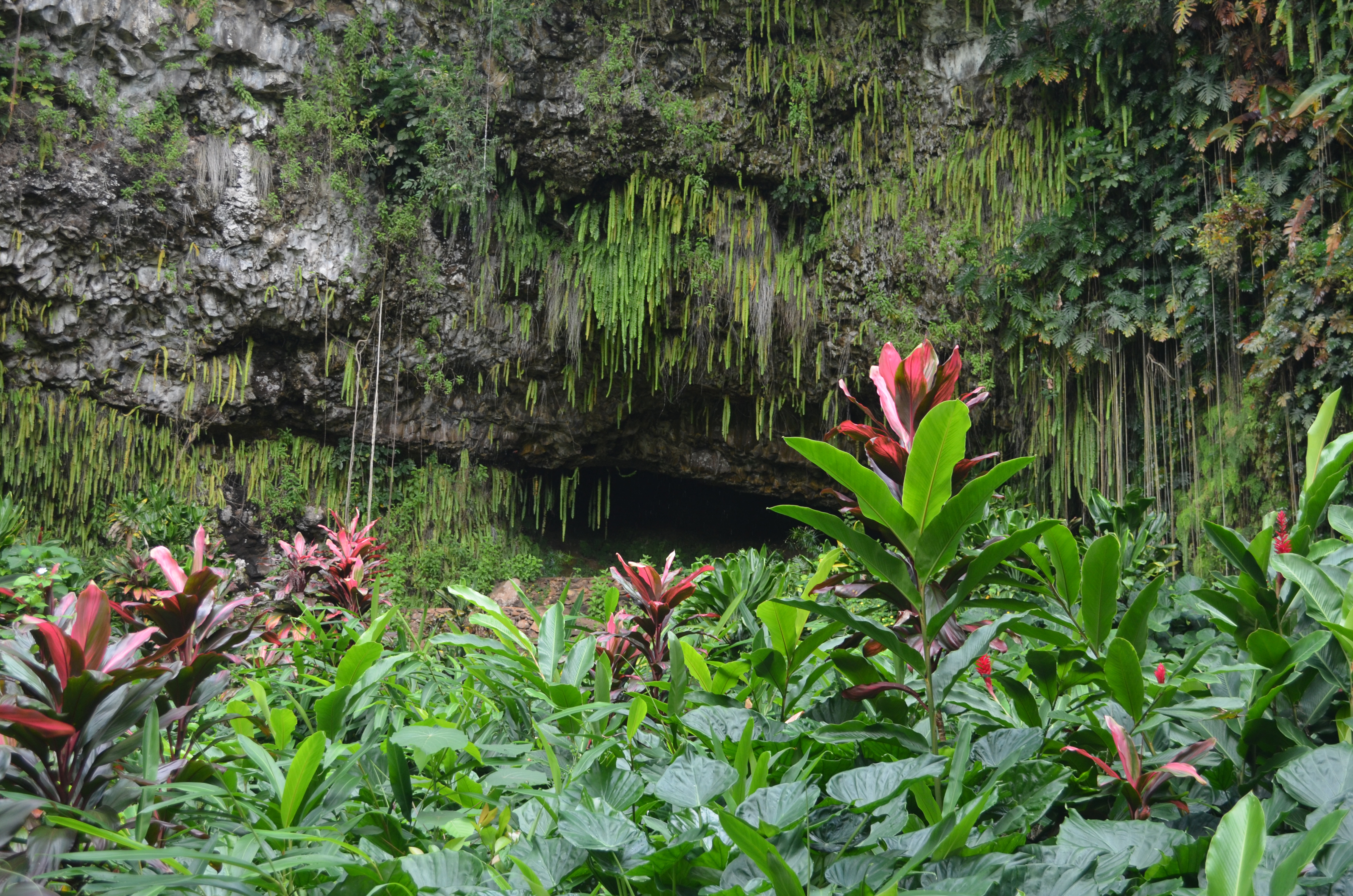 Fern Grotto Kauai Hawaii