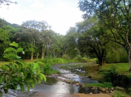 Keahua Arboretum - Kauai, Hawaii