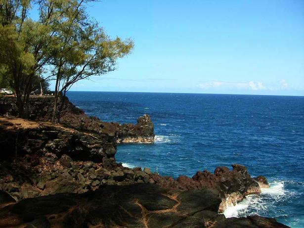 MacKenzie State Recreation Area - Big Island, Hawaii