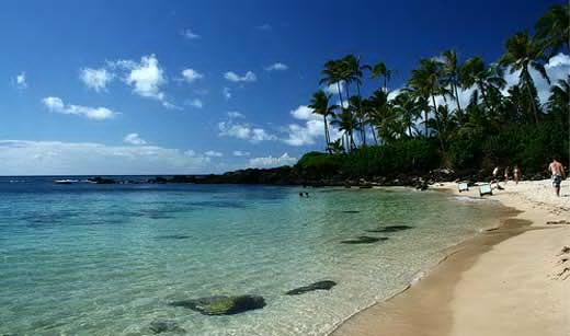 Chun's Reef - North Shore, Oahu