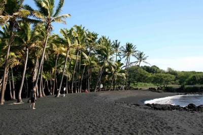 Punalu'u Beach Park - Big Island, Hawaii