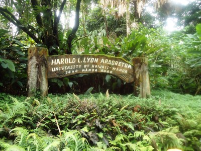 Lyon Arboretum - Honolulu, Hawaii