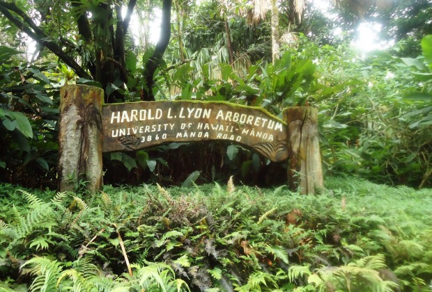 Lyon Arboretum - Honolulu, Hawaii