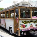 Waikiki Trolley - Hawaii