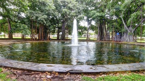 Thomas Square - Honolulu, Hawaii