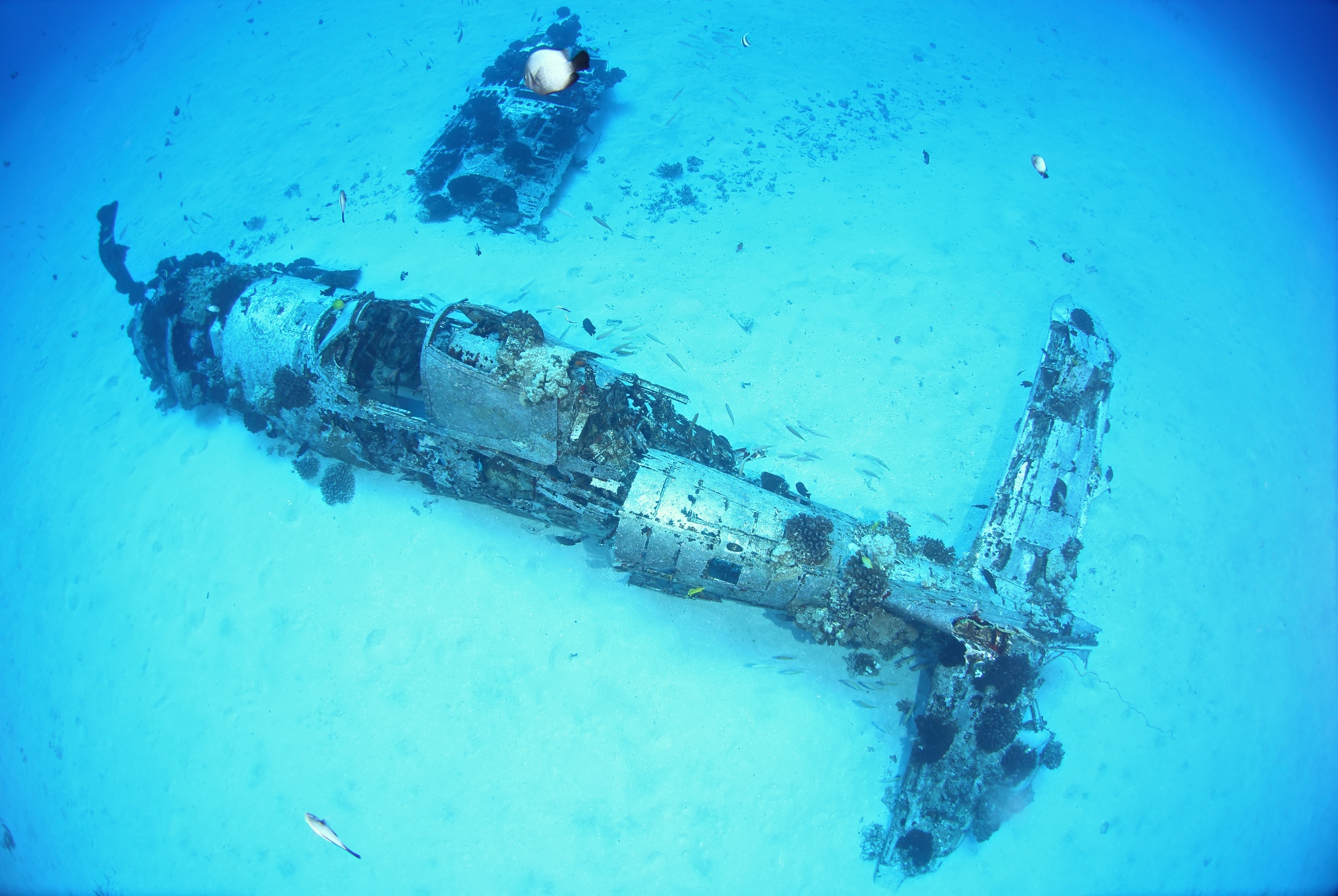 Corsair airplane wreck