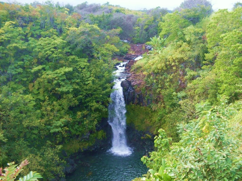 Kamaee Falls - Hakalau, Big Island, Hawaii